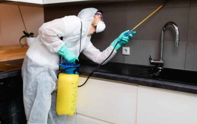Pest Control Before or After Deep Cleaning: What’s the Best Approach?
